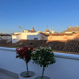  Apartment Atarazanas Suite, Atico Con Terraza
